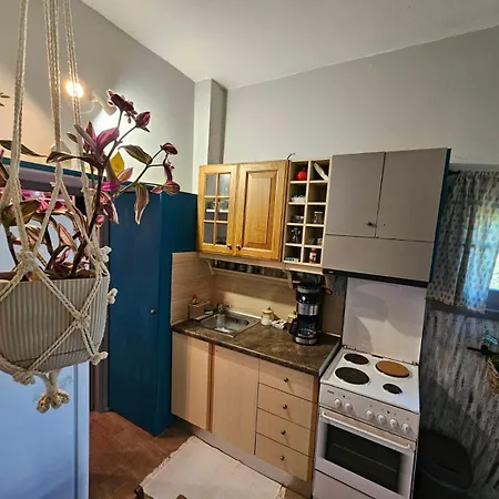 Appartement μέντα 1